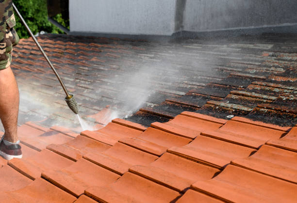 Best Local Pressure Washing Services  in Cedar Grove, FL