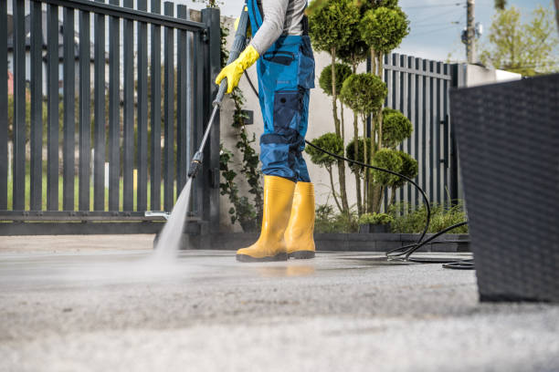 Best Roof Power Washing Services  in Cedar Grove, FL